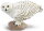 Safari Ltd. 264729 - Schneeeule