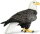 Safari Ltd. 291129 - Bald Eagle
