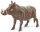 Safari Ltd. 100512 - Warthog