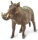 Safari Ltd. 100512 - Warthog