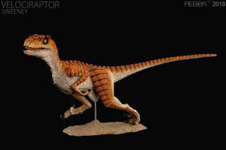 REBOR 160420 - 1:18 Velociraptor Sweeney *1