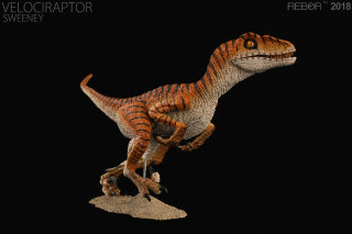 REBOR 160420 - 1:18 Velociraptor Sweeney *1
