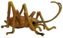 Animals of Australia 75347 - Giant Weta (Langfühlerschrecke)