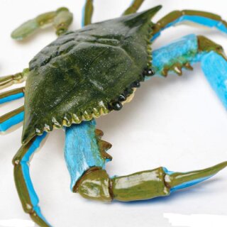 Safari Ltd. Incredible Creatures® 269729 - Blue Crab