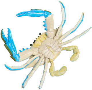 Safari Ltd. Incredible Creatures® 269729 - Blue Crab