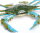 Safari Ltd. 269729 - Blue Crab
