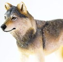 Safari Ltd. 100509 - Grauer Wolf