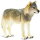 Safari Ltd. 100509 - Grauer Wolf