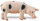 Safari Ltd. 231829 - Gloucester Sau