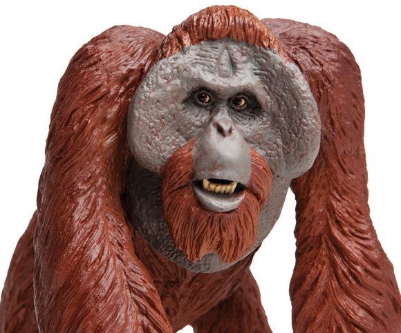 Action Figures Safari Ltd Wildlife Wonders Bornean Orangutan for sale online 