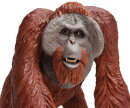 Safari Ltd. 112289 - Bornean Orangutan