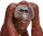 Safari Ltd. 112289 - Bornean Orangutan
