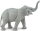 Safari Ltd. 227529 - Asiatischer Elephant