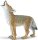 Safari Ltd. 227129 - Kojote Welpe