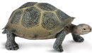 Safari Ltd. 295329 - Desert Tortoise