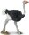 Safari Ltd. Wings Of The World 226129 - Strauß