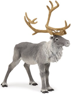 Papo 50117 - Reindeer