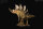 REBOR 160536 - 1:35 Male Stegosaurus Armatus Garden Plain *1