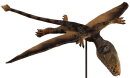 REBOR 160174 - 1:6 Female Dimorphodon macronyx *1