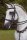 Horse Postcard Lusitano Stallion Real WR