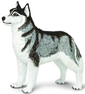 Safari Ltd. 255229 - Siberian Husky