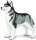Safari Ltd. 255229 - Siberian Husky