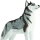 Safari Ltd. 255229 - Siberian Husky
