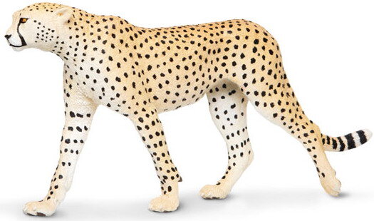 Safari Ltd. 112889 - Cheetah - Modellpferdeversand.de, 17,99 €
