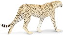 Safari Ltd. 112889 - Cheetah