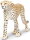 Safari Ltd. 112889 - Cheetah