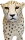 Safari Ltd. 112889 - Cheetah