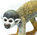 Safari Ltd. 269829 - Squirrel Monkey
