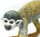 Safari Ltd. 269829 - Squirrel Monkey