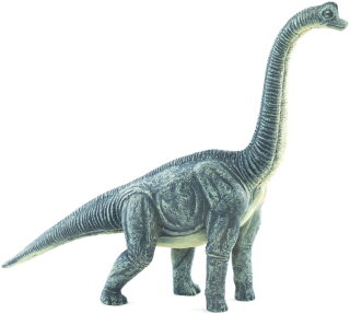 Mojö 387212 - Brachiosaurus