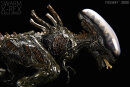 REBOR 160581 - 1:35 Swarm X-REX Pest Variante *1