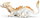 Safari Ltd. 10122 - Good Luck Dragon