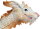 Safari Ltd. 10122 - Good Luck Dragon