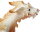 Safari Ltd. 10122 - Good Luck Dragon