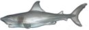 M+B 13026 - Weißer Hai