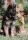 Dog Postcard German Shepard Dhodo v. Grauen Schlund
