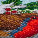 Craft Buddy CAK-A113TT - Triptych Crystal Art Kit - Robin Friends Part 1