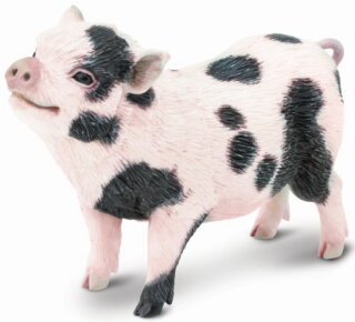 Safari Ltd. 266029 - pot-bellied piglet