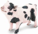 Safari Ltd. 266029 - pot-bellied piglet