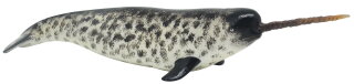Recur R8142S - Narwhal (Monodon monoceros)