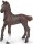 Papo 51536 - Thoroughbred Foal (chestnut)