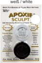 Aves Studio LLC - Apoxie® Sculpt Sculpt Modeling...