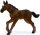 Mojö 387072 - Hanoverian Foal (old version)