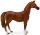Mojö Fun Arabian Stallion Sorrel