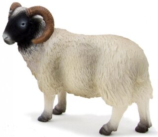 Mojö 387081 - Scottish Blackface Schafbock (alte Version)