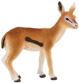 Mojö 387123 - Thomson-Gazelle Kitz